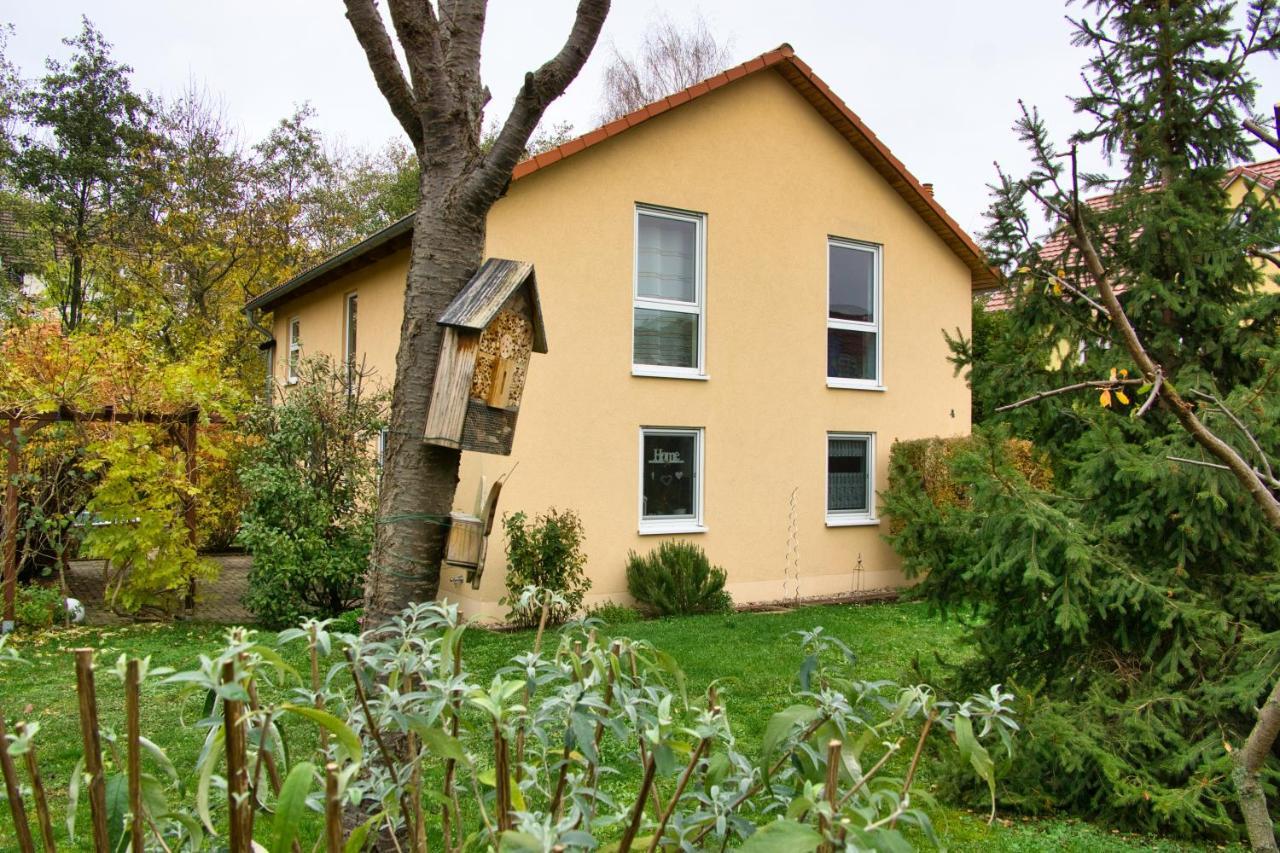 Mycozyplace - Zwei Gemuetliche Zimmer Fuer Vier Dresden Exterior photo